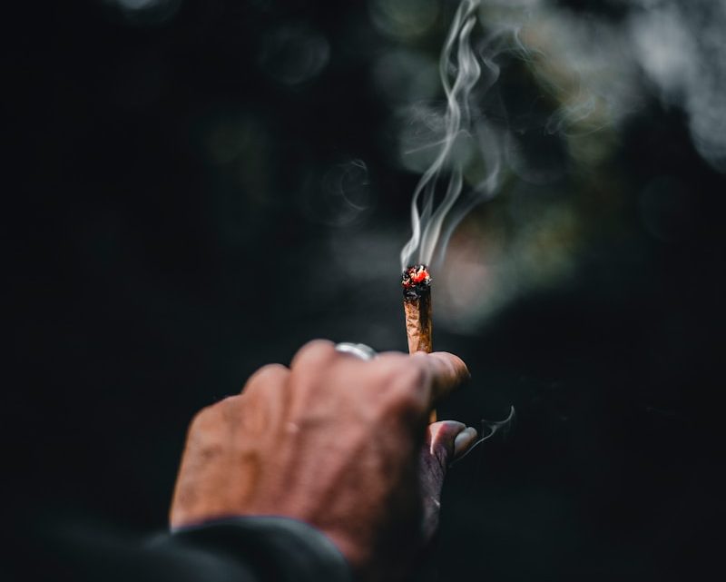 Alles wat je moet weten over de Kush-plant: van teelt tot gebruik tips en feiten
